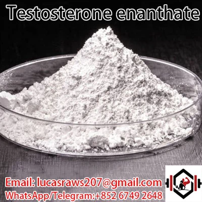 Testosterona enantāta CAS 315 37 7