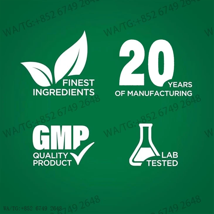 STADA Brand High Quality NPP 100 Oil 100mg/ml